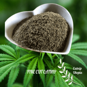 fine cut catnip