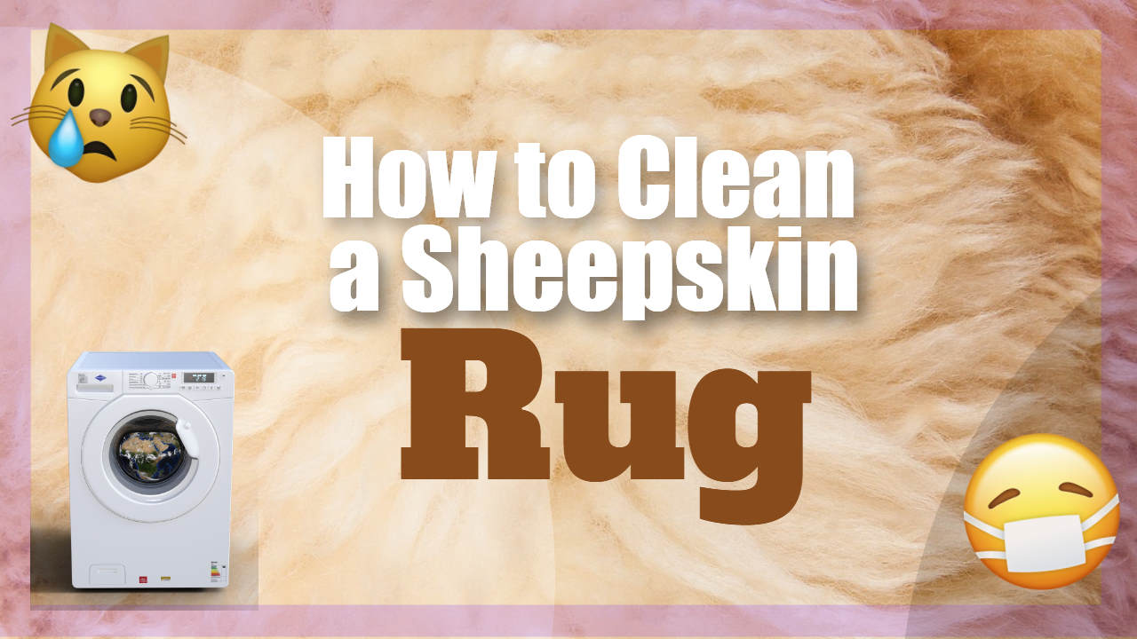 Image text: "How to Clean a Sheepskin Rug".