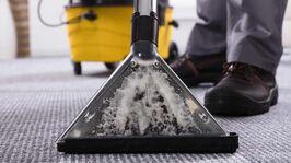 brisbane carpet cleaning