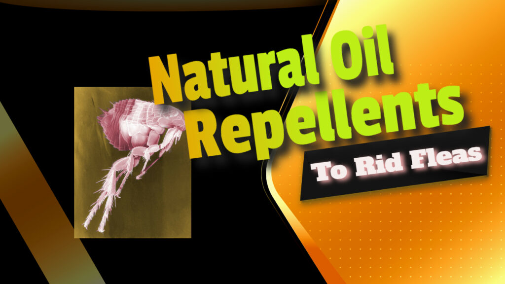 repellents to rid fleas