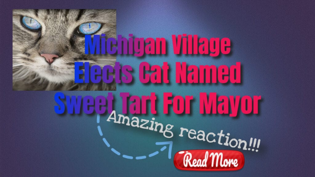 Michigan village elects cat named sweet tart for mayor