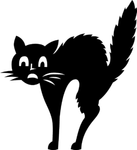black cat with arched back
