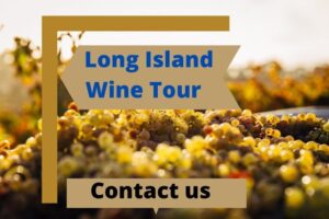 Long Island Wine Tour