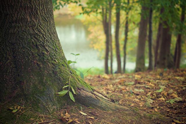 Do Grounding Mats Help You Sleep?