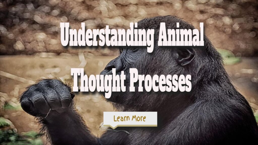 How Close Are We to Understanding Animal Thought Processes