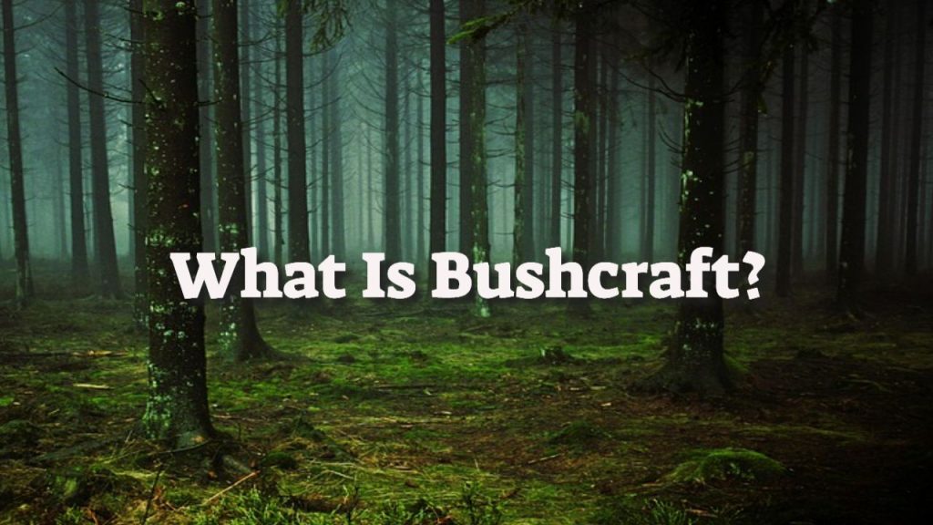 What Is Bushcraft_