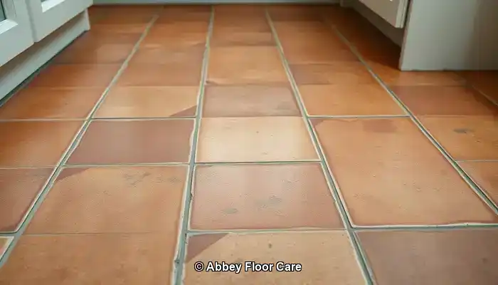 Understanding the Factors Leading to Fast Dirt Accumulation on Terracotta Floors